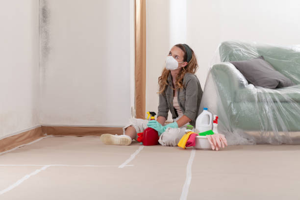 Trusted Mold Inspection service in Lewisville, WA - WQB Mold Removal